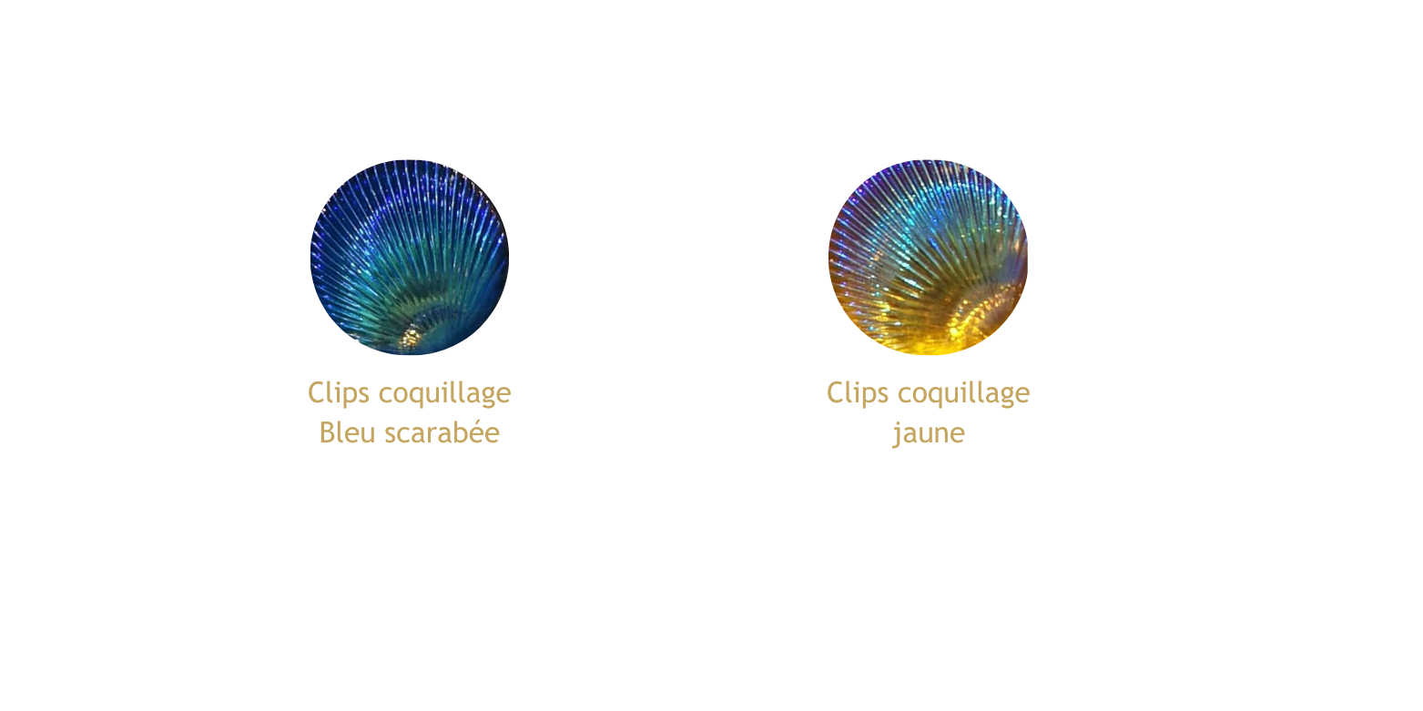 Collection Coquillage 500x250